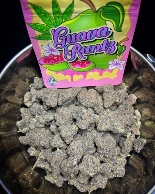 Where to Buy Real Guava Runtz Without Getting Ripped Off