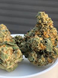 Where to Buy Collins Ave Cookies Strain Legally This Year