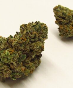 Finding White Runtz Strain Close to Home in 2025